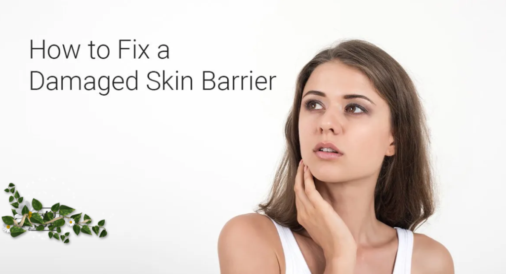 The Damaged Skin Barrier: The Complete Guide for Skincare Recovery